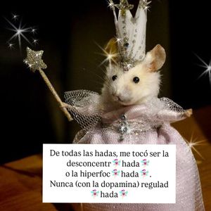 Image post by @laprofe.neuroydivergente on Instagram