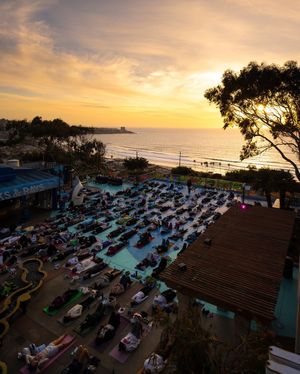 Image post by @ucsandiego on Instagram