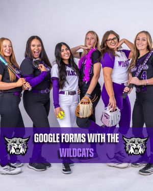 Image post by @wsusoftball on Instagram