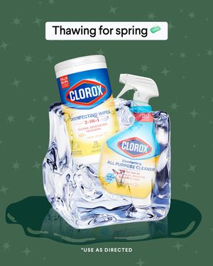 Image post by @clorox on Instagram