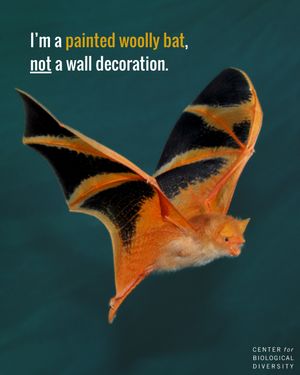 Image post by @centerforbiodiv on Instagram