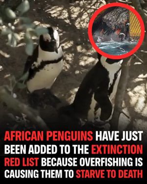 Image post by @greenpeace on Instagram