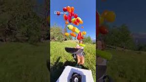 Video post by @dji on YouTube