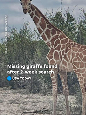 Video post by @usatoday on TikTok