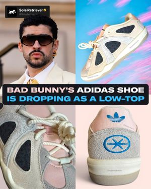 Image post by @soleretriever on Instagram