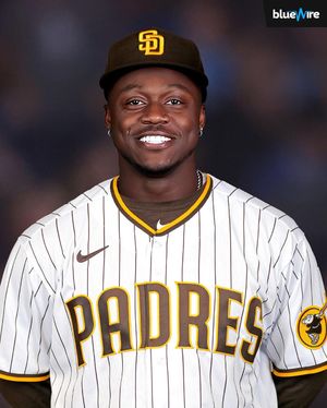 Image post by @bluewiremlb on Instagram