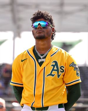 Image post by @leodalisdevries on Instagram