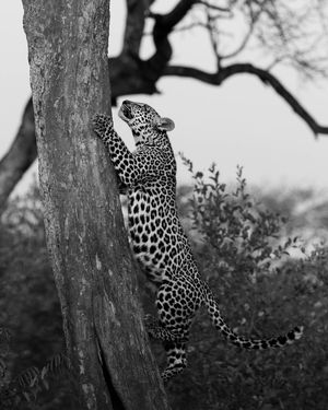 Image post by @guybrunskillphoto on Instagram