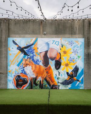 Image post by @houstondynamo on Instagram