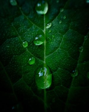 Image post by @lathanuelf_photos on Instagram