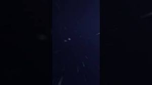 Video post by @abc on YouTube