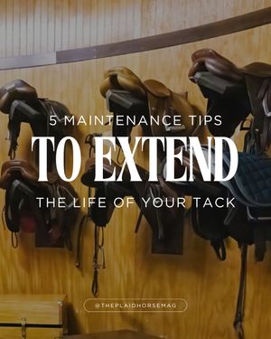Image post by @theplaidhorsemag on Instagram