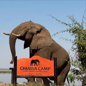 Image post by @chiawasafaris on Instagram
