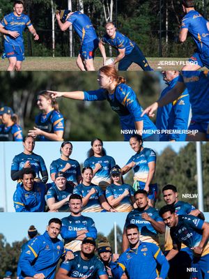 Image post by @theparraeels on Instagram