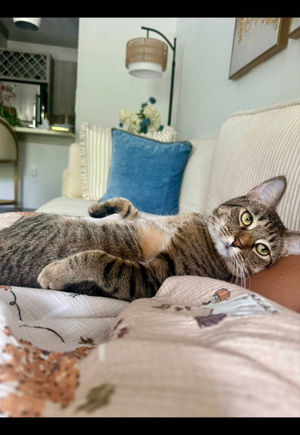 Video post by @madisonmiller555 on TikTok