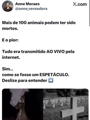 Image post by @annemoraesvereadora on Instagram