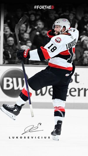 Image post by @BellevilleSens on Twitter