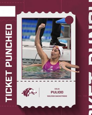 Image post by @siu_swimdive on Instagram