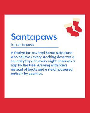 Image post by @petsmart on Instagram