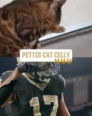 Image post by @saints on Instagram