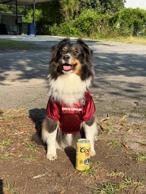 Image post by @barstoolgamecocks on Instagram