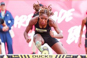 Image post by @tandfn on Instagram