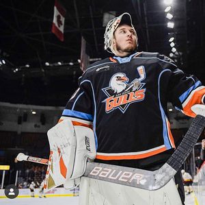 Image post by @anaheimducks on Instagram