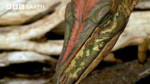 Video post by @bbcearth on YouTube