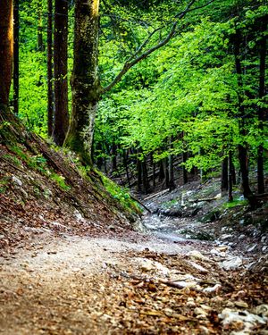 Image post by @cristan.nature.photography on Instagram