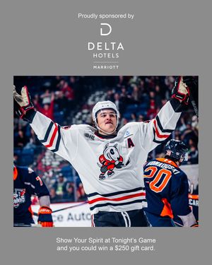 Image post by @ohlicedogs on Instagram