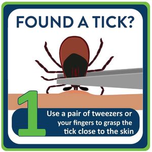Image post by @mnhealth on Facebook