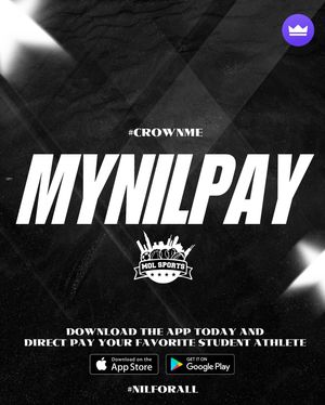 Image post by @mynilpay on Instagram