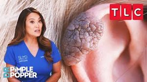 Video post by @TLC on YouTube
