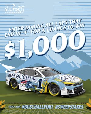 Image post by @BuschBeer on Twitter