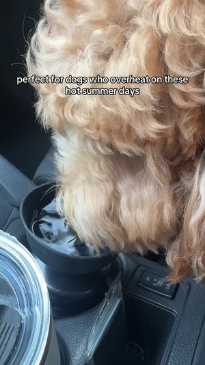 Video post by @tedflixnchill on TikTok