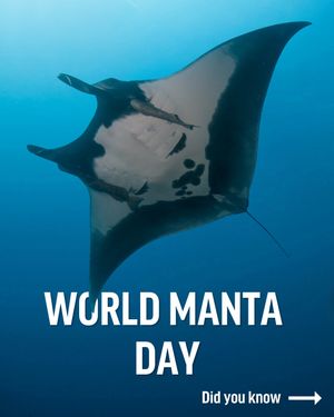 Image post by @oceana on Instagram