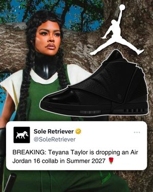 Image post by @soleretriever on Instagram