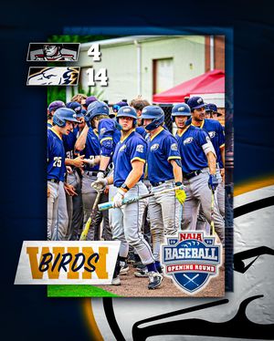 Image post by @ubcbaseball on Instagram