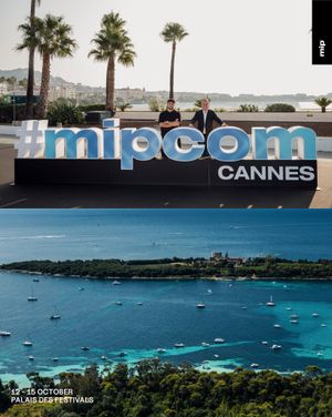 Image post by @mipmarkets on Instagram