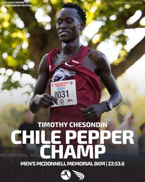 Image post by @dyestat on Instagram