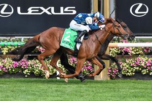 Image post by @flemingtonvrc on Instagram