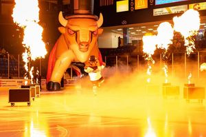 Image post by @joey_natty_photos on Instagram