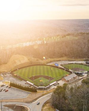 Image post by @ung_nighthawks on Instagram