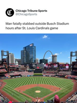 Image post by @js9innings on Instagram