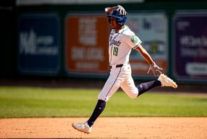 Image post by @hartfordyardgoats on Instagram