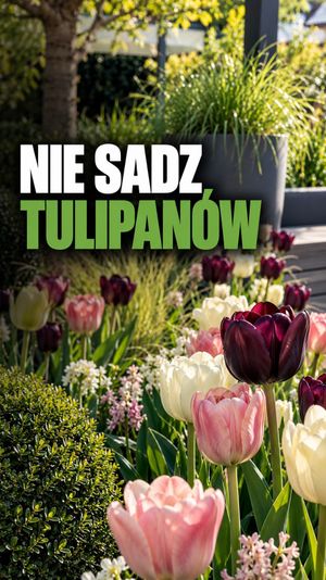 Video post by @marzenieogrodnika.pl on Instagram