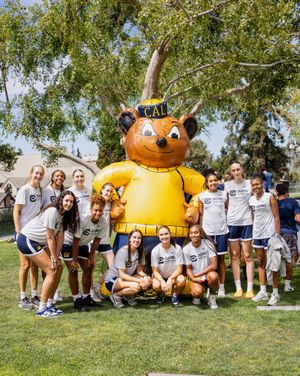 Image post by @calwbball on Instagram