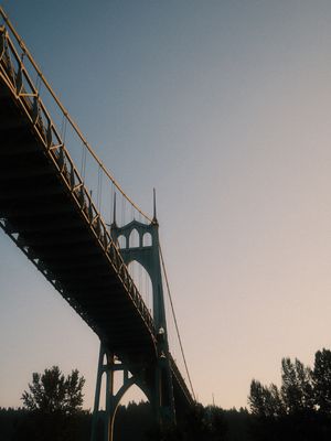 Image post by @nikguiney on Instagram