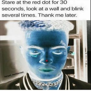 Image post by @profanity on Instagram
