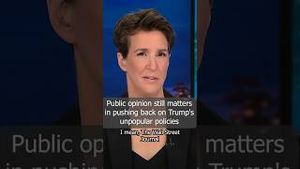 Video post by @msnbc on YouTube